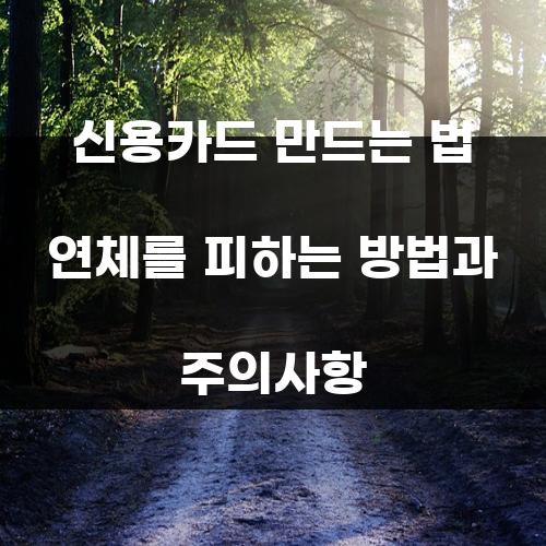 신용카드 만드는 법 연체를 피하는 방법과 주의사항