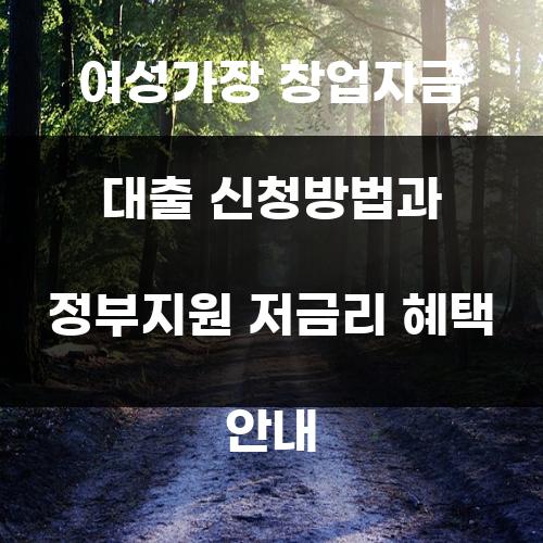 여성가장 창업자금 대출 신청방법과 정부지원 저금리 혜택 안내