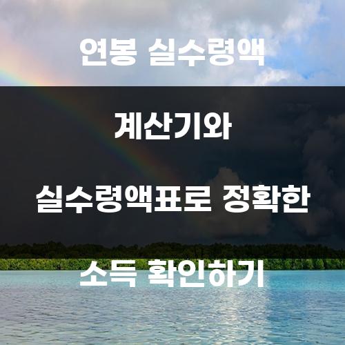 연봉 실수령액 계산기와 실수령액표로 정확한 소득 확인하기
