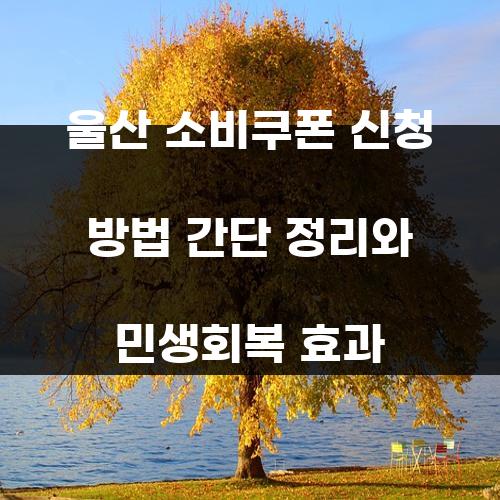 울산 소비쿠폰 신청 방법 간단 정리와 민생회복 효과