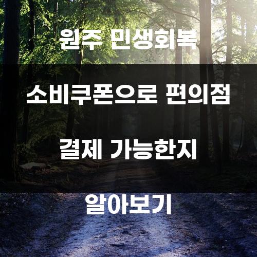 원주 민생회복 소비쿠폰으로 편의점 결제 가능한지 알아보기