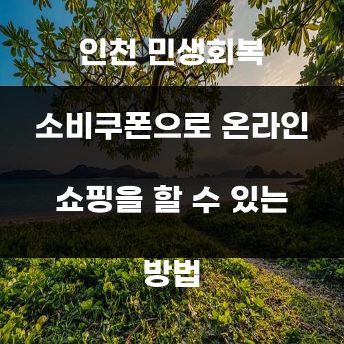 인천 민생회복 소비쿠폰으로 온라인 쇼핑을 할 수 있는 방법