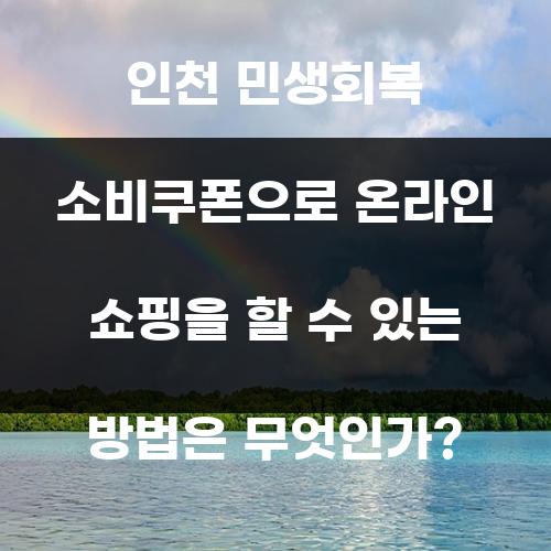 인천 민생회복 소비쿠폰으로 온라인 쇼핑을 할 수 있는 방법은 무엇인가?