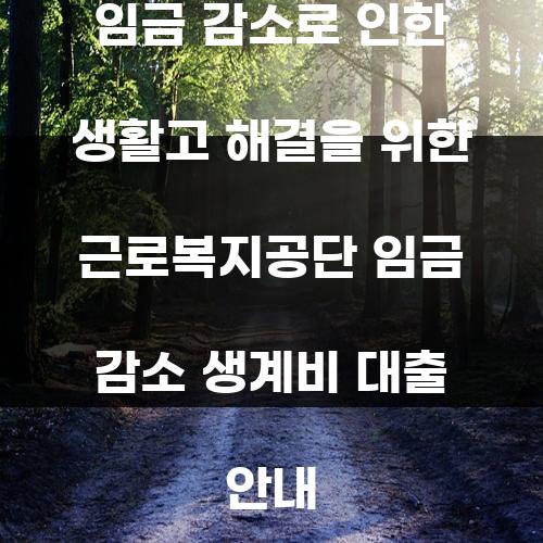 임금 감소로 인한 생활고 해결을 위한 근로복지공단 임금 감소 생계비 대출 안내