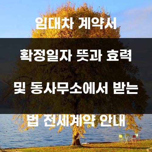임대차 계약서 확정일자 뜻과 효력 및 동사무소에서 받는 법 전세계약 안내