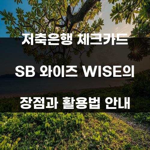 저축은행 체크카드 SB 와이즈 WISE의 장점과 활용법 안내
