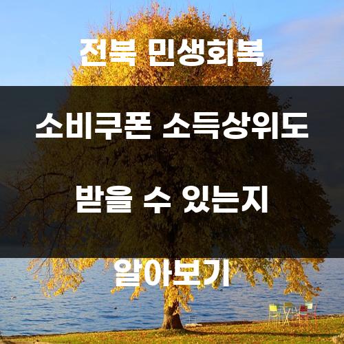 전북 민생회복 소비쿠폰 소득상위도 받을 수 있는지 알아보기