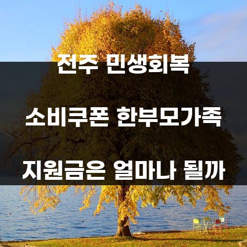 전주 민생회복 소비쿠폰 한부모가족 지원금은 얼마나 될까