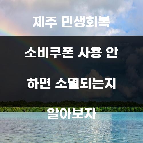 제주 민생회복 소비쿠폰 사용 안 하면 소멸되는지 알아보자