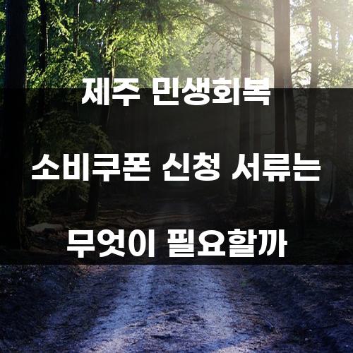 제주 민생회복 소비쿠폰 신청 서류는 무엇이 필요할까