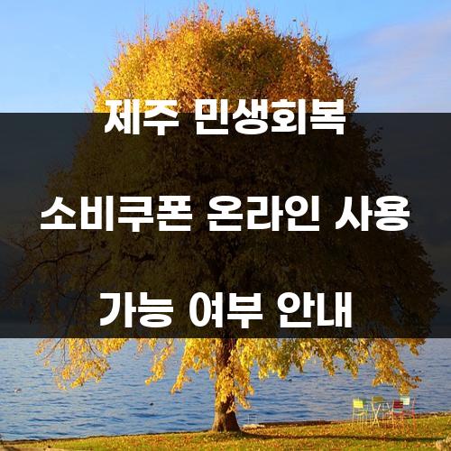 제주 민생회복 소비쿠폰 온라인 사용 가능 여부 안내