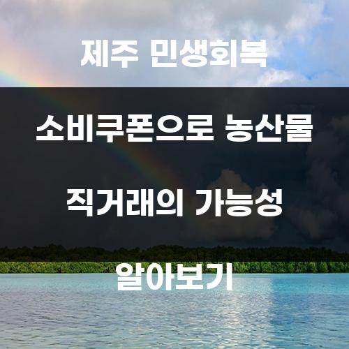 제주 민생회복 소비쿠폰으로 농산물 직거래의 가능성 알아보기