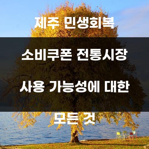 제주 민생회복 소비쿠폰 전통시장 사용 가능성에 대한 모든 것