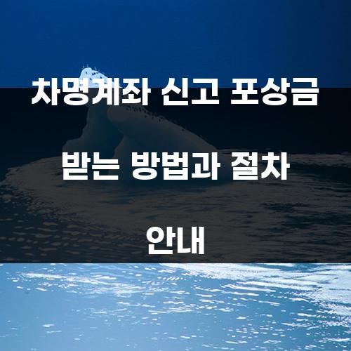 차명계좌 신고 포상금 받는 방법과 절차 안내