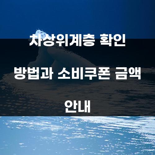 차상위계층 확인 방법과 소비쿠폰 금액 안내