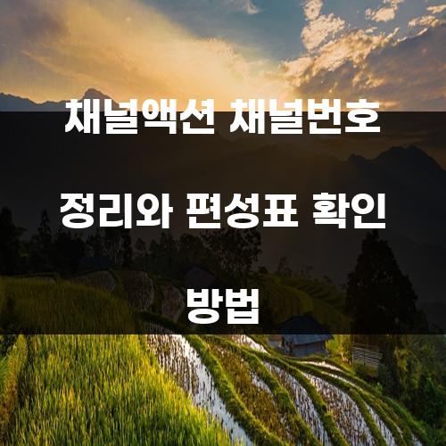 채널액션 채널번호 정리와 편성표 확인 방법