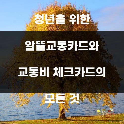 청년을 위한 알뜰교통카드와 교통비 체크카드의 모든 것