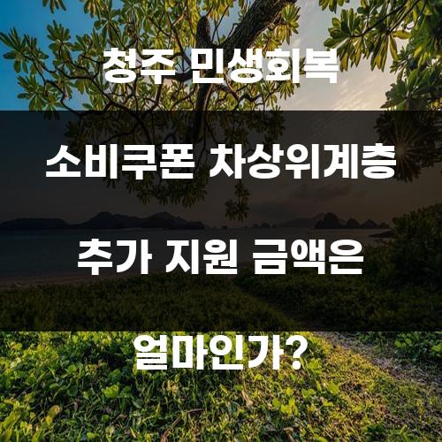 청주 민생회복 소비쿠폰 차상위계층 추가 지원 금액은 얼마인가?