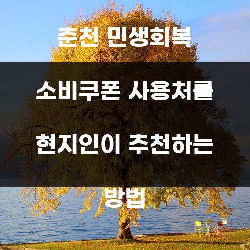 춘천 민생회복 소비쿠폰 사용처를 현지인이 추천하는 방법