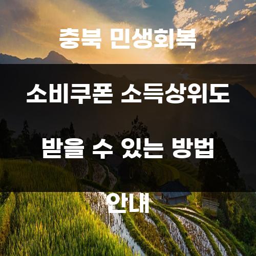 충북 민생회복 소비쿠폰 소득상위도 받을 수 있는 방법 안내
