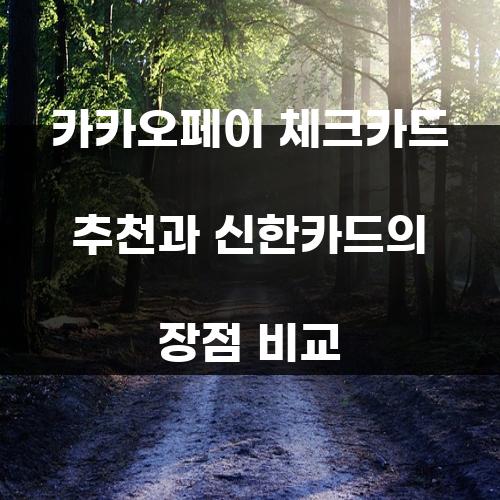 카카오페이 체크카드 추천과 신한카드의 장점 비교
