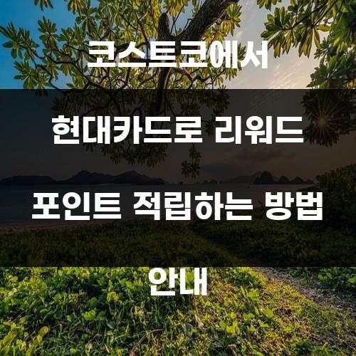 코스트코에서 현대카드로 리워드 포인트 적립하는 방법 안내