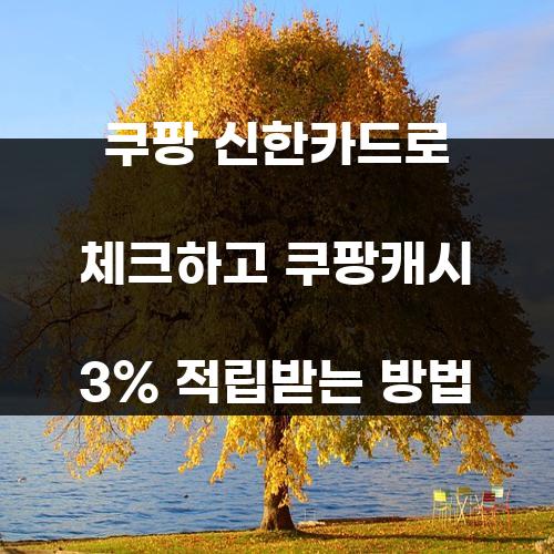 쿠팡 신한카드로 체크하고 쿠팡캐시 3% 적립받는 방법