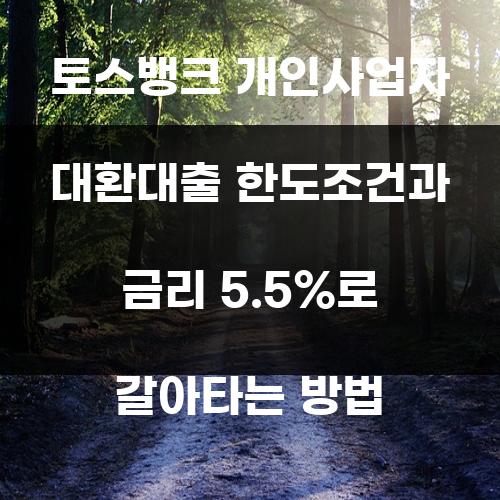 토스뱅크 개인사업자 대환대출 한도조건과 금리 5.5%로 갈아타는 방법