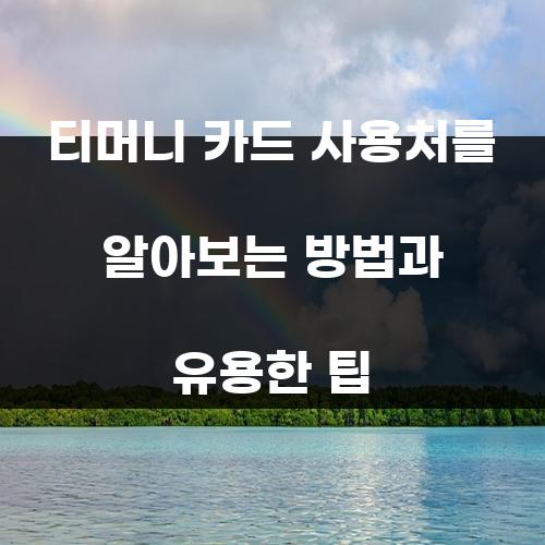 티머니 카드 사용처를 알아보는 방법과 유용한 팁