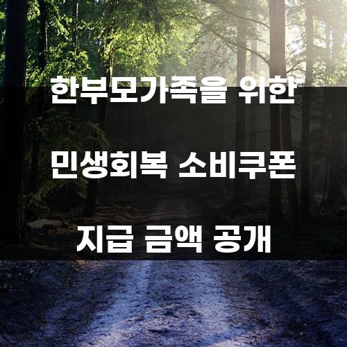 한부모가족을 위한 민생회복 소비쿠폰 지급 금액 공개