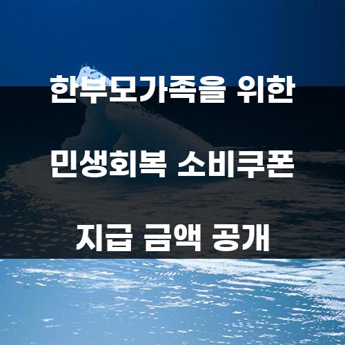 한부모가족을 위한 민생회복 소비쿠폰 지급 금액 공개