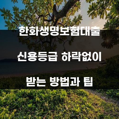 한화생명보험대출 신용등급 하락없이 받는 방법과 팁