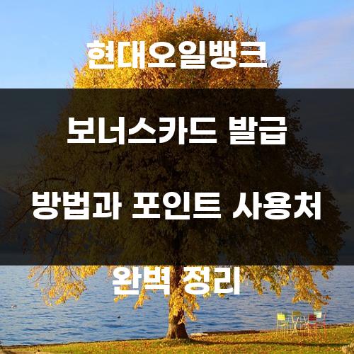 현대오일뱅크 보너스카드 발급 방법과 포인트 사용처 완벽 정리