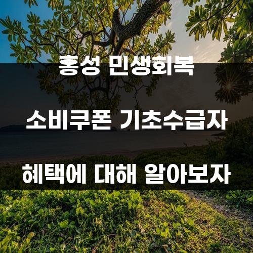 홍성 민생회복 소비쿠폰 기초수급자 혜택에 대해 알아보자