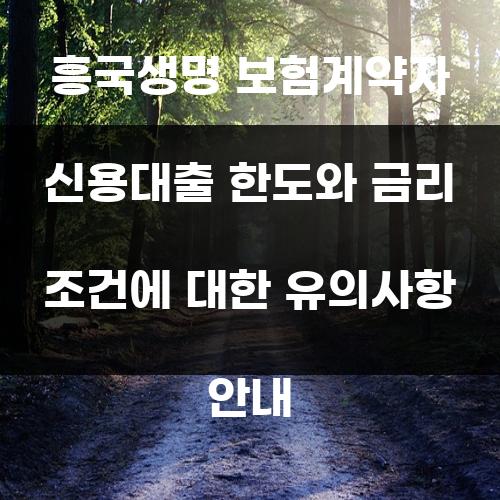 흥국생명 보험계약자 신용대출 한도와 금리 조건에 대한 유의사항 안내