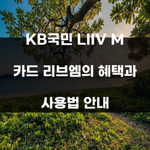 KB국민 LIIV M 카드 리브엠의 혜택과 사용법 안내