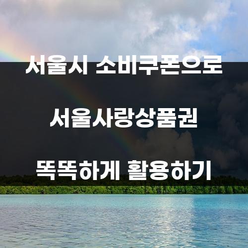 서울시 소비쿠폰으로 서울사랑상품권 똑똑하게 활용하기