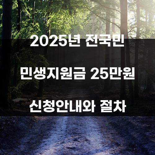 2025년 전국민 민생지원금 25만원 신청안내와 절차