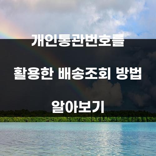 개인통관번호를 활용한 배송조회 방법 알아보기