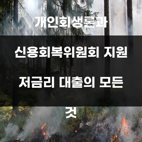 개인회생론과 신용회복위원회 지원 저금리 대출의 모든 것