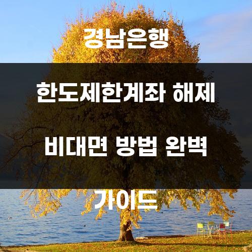 경남은행 한도제한계좌 해제 비대면 방법 완벽 가이드