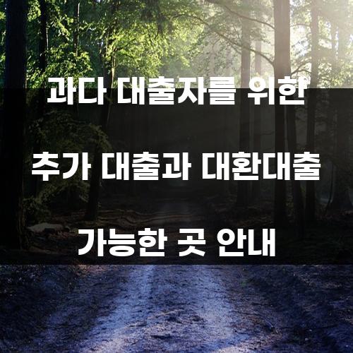 과다 대출자를 위한 추가 대출과 대환대출 가능한 곳 안내