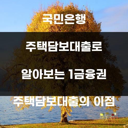 국민은행 주택담보대출로 알아보는 1금융권 주택담보대출의 이점