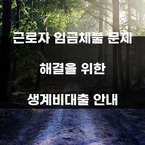 근로자 임금체불 문제 해결을 위한 생계비대출 안내