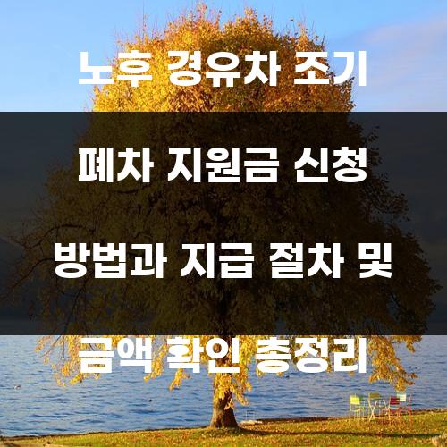 노후 경유차 조기 폐차 지원금 신청 방법과 지급 절차 및 금액 확인 총정리