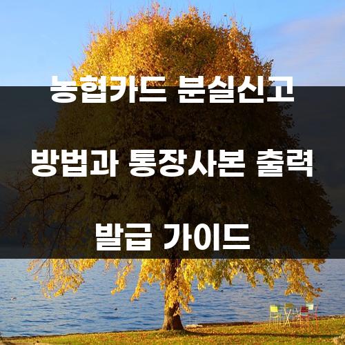 농협카드 분실신고 방법과 통장사본 출력 발급 가이드