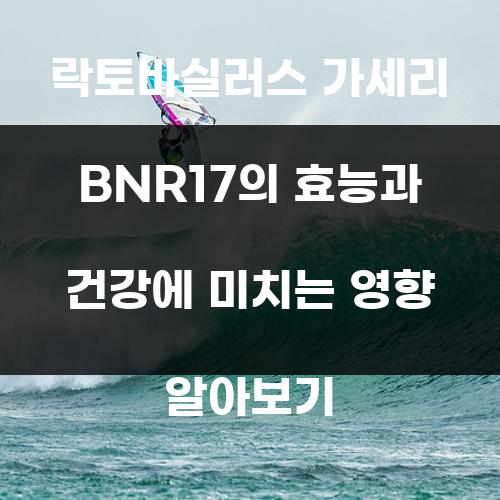 락토바실러스 가세리 BNR17의 효능과 건강에 미치는 영향 알아보기