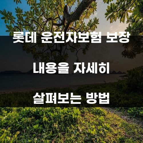롯데 운전자보험 보장 내용을 자세히 살펴보는 방법