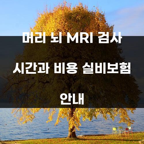 머리 뇌 MRI 검사 시간과 비용 실비보험 안내