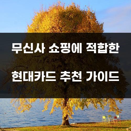 무신사 쇼핑에 적합한 현대카드 추천 가이드